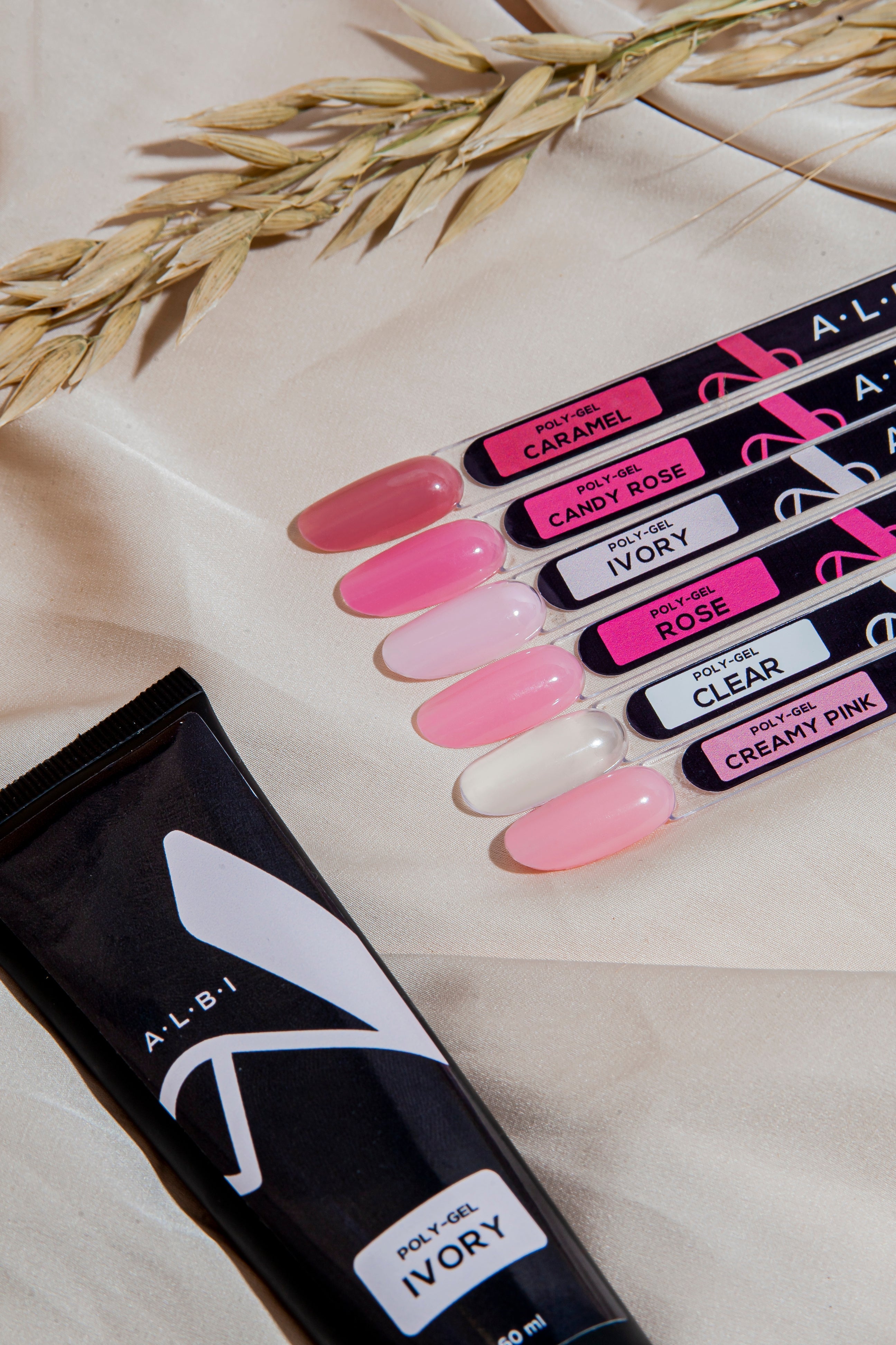 Polygel Clear Albi - ONGLES PRO