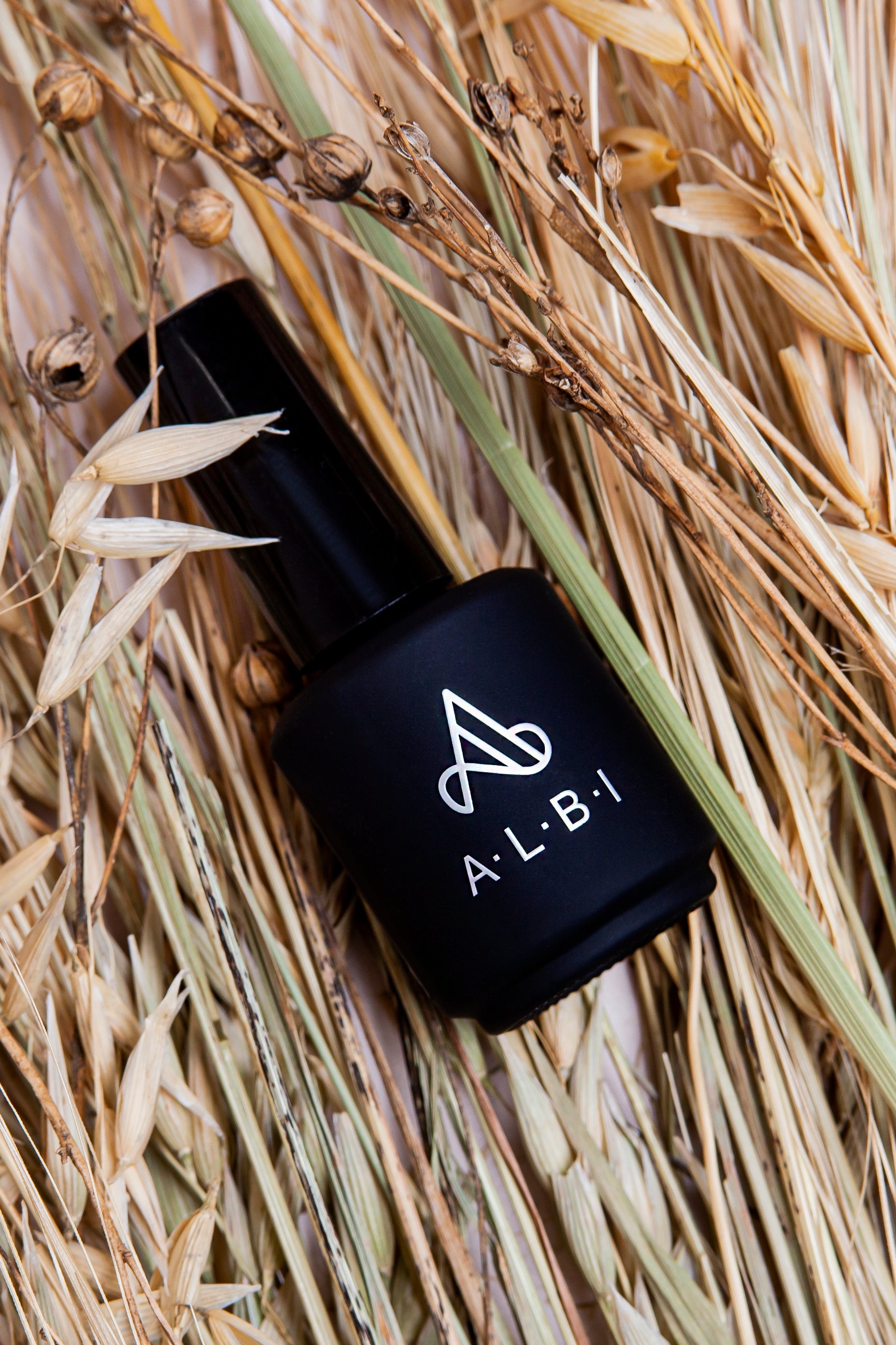 Top Coat No Wipe Albi - ONGLES PRO