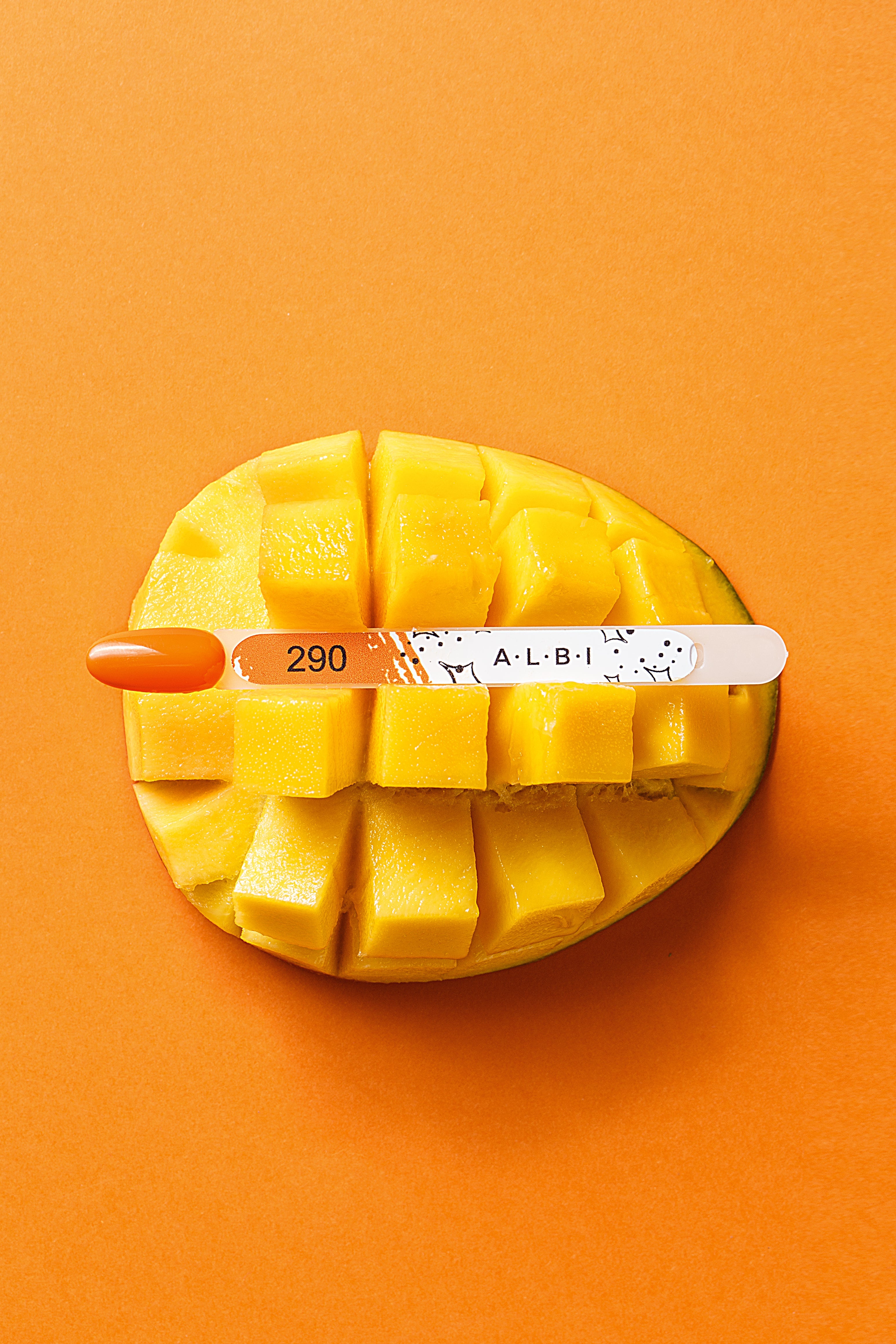 Vernis semi permanent Albi 290 - ONGLES PRO