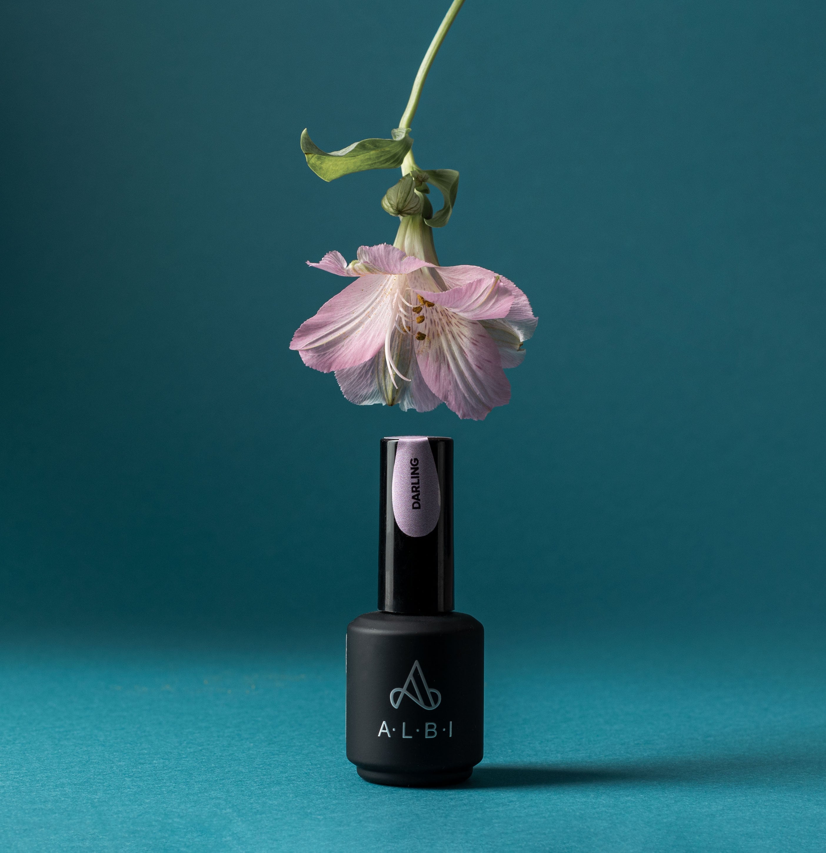 polygel liquide darling albi - ongles pro