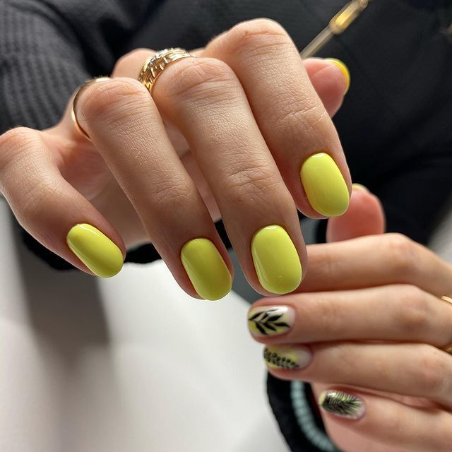 Vernis semi permanent Albi 55