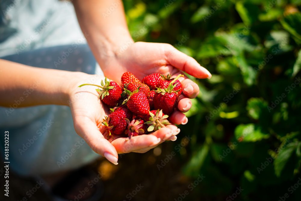 Renforcement des ongles pour agricultrices et paysagistes — pose en gel durable avec les produits ALBI Ongles Pro