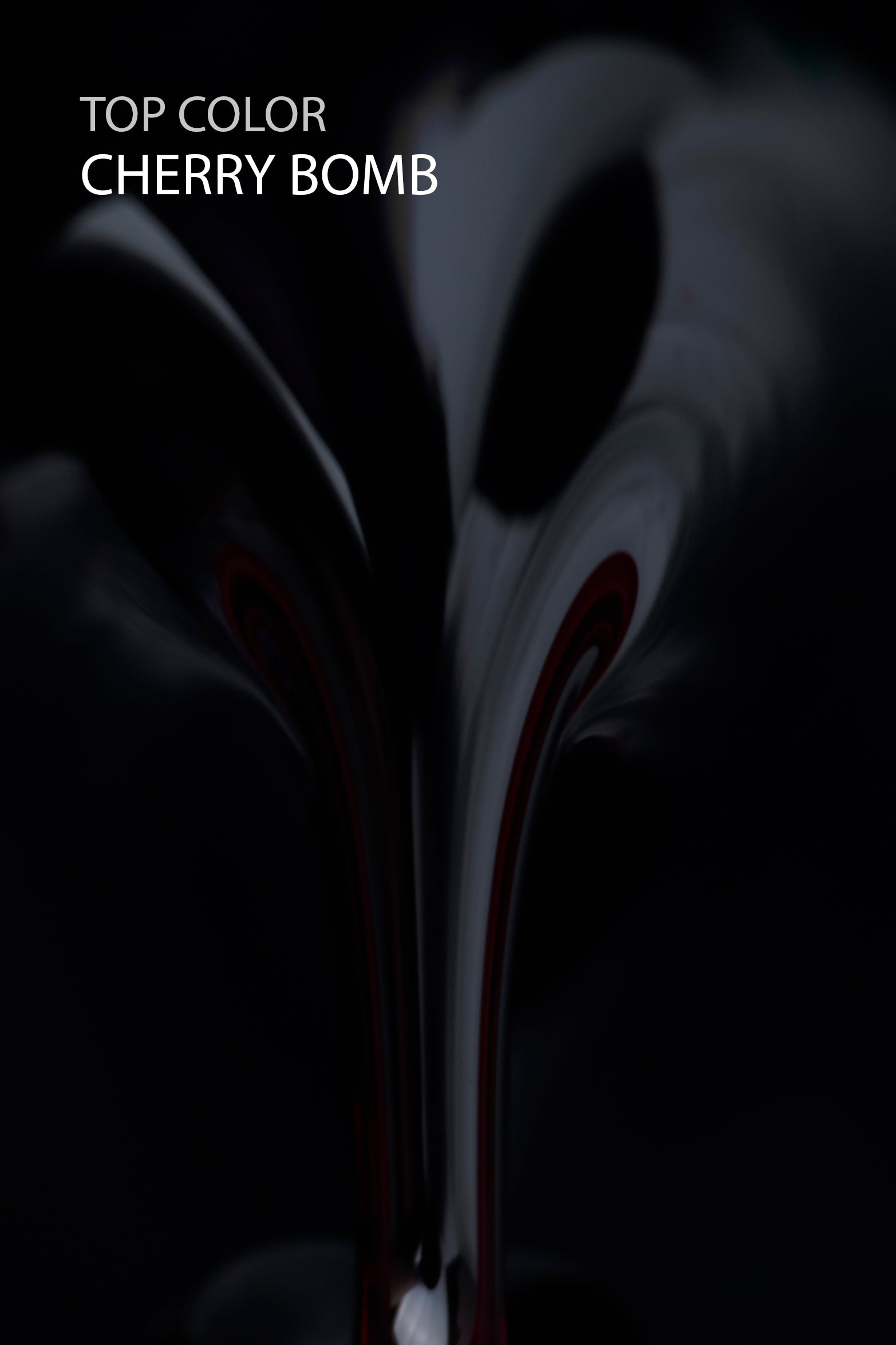 Collection Top color 7 + 1 offert