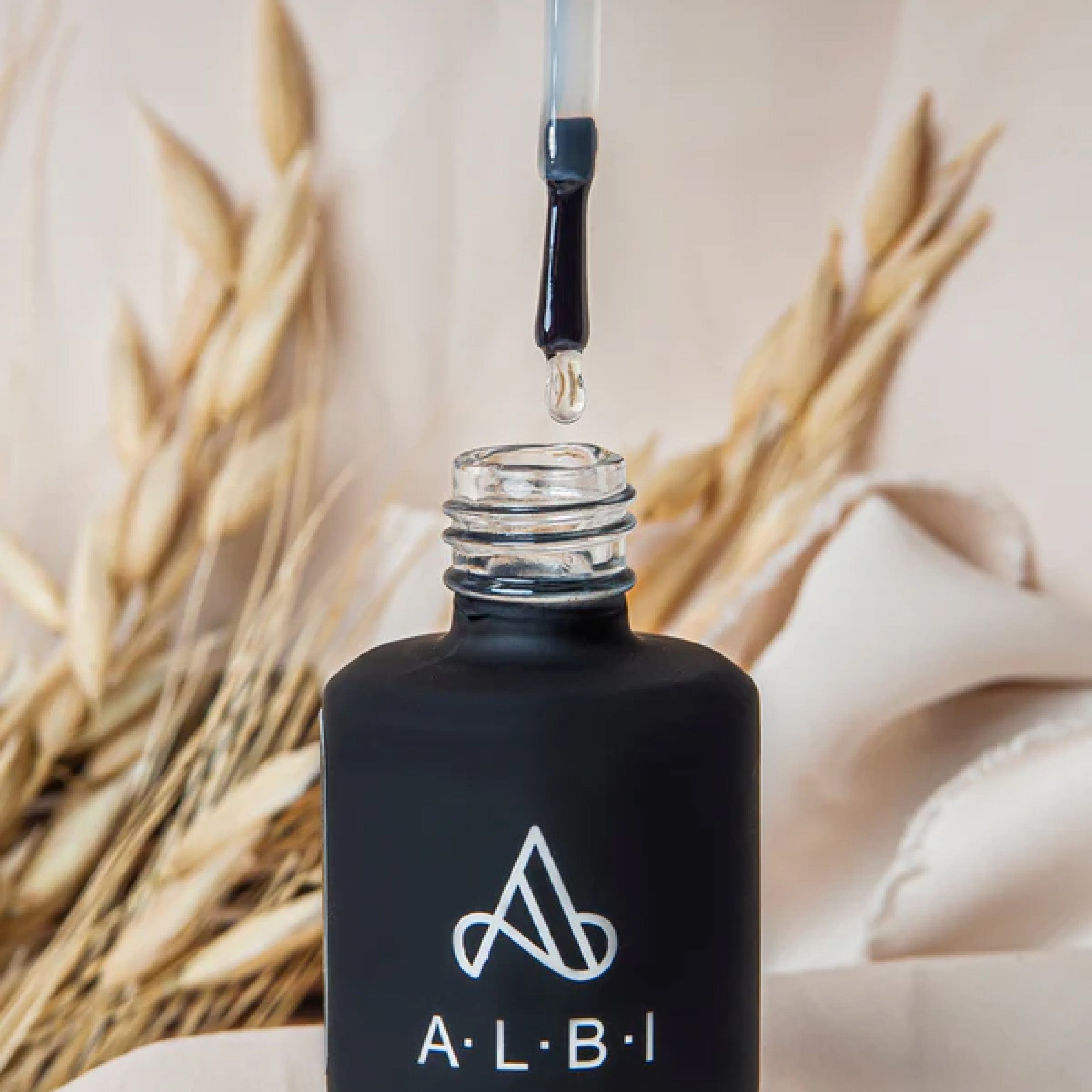 Base FLEX ALBI – Base d'Adhérence Universelle