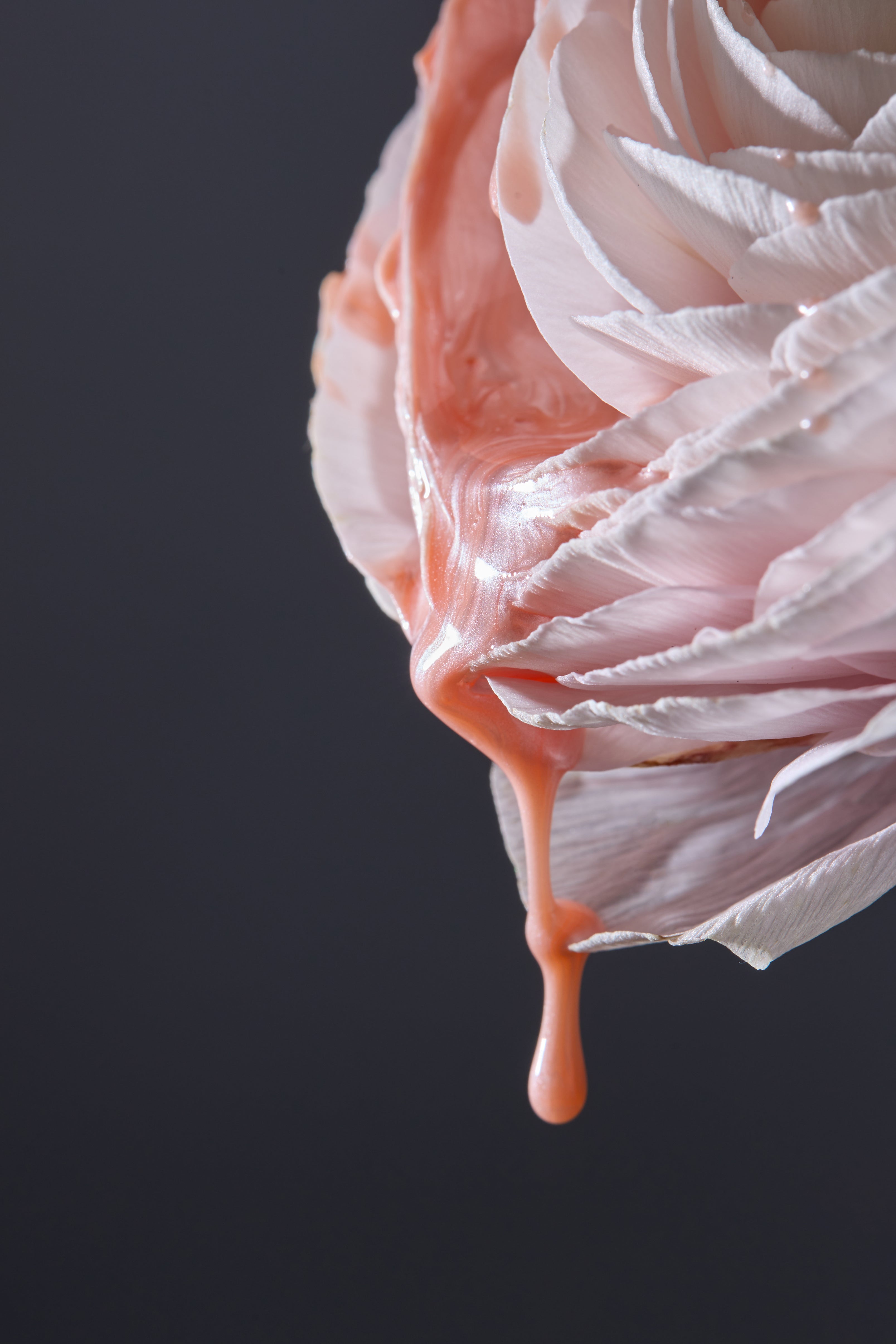 polygel liquide pearly albi - ongles pro 